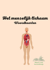 Het menselijk lichaam woordkaarten Nederlands